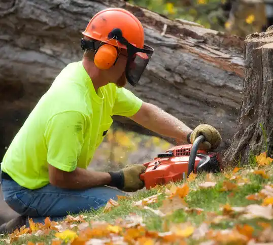 tree services Islandia